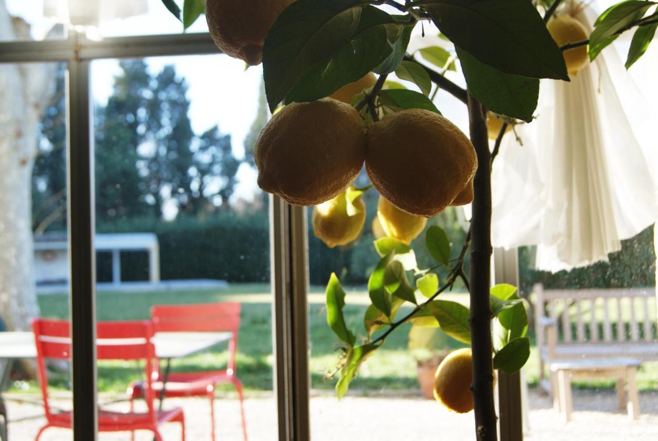 La Ferme De Gigognan Bed and Breakfast Avignon Buitenkant foto